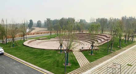 響應國家戰(zhàn)略 弘揚黃河文化|奧雅設計簽約鄭州黃河灘濕地公園EPC項目